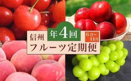 ［4回定期便］ 信州フルーツ4回コース ［小布施屋］ 定期便 先行予約 フルーツ 数量限定 さくらんぼ 白桃 ネクタリン シャインマスカット ぶどう クール便 冷蔵 お楽しみ 長野県産 信州産 令和8年産 【2026年6月中旬～11月発送】[E-2]