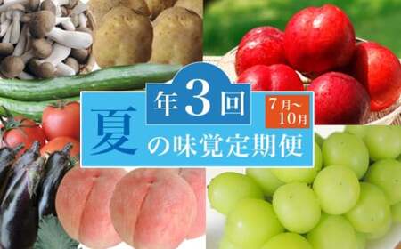 ［3回定期便］ 夏の味覚3回コース ［小布施屋］ 先行予約 フルーツ 果物 くだもの 野菜 やさい 数量限定 ネクタリン 桃 シャインマスカット ぶどう クール便 冷蔵 お楽しみ 3回お届け 長野県産 信州産 令和8年産 【2026年7月～10月発送】[D-2]