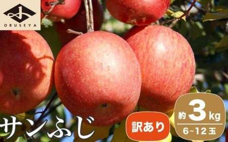 【訳あり】 先行受付 サンふじ 約3kg 6～12玉 ［小布施屋］ 令和8年産 【2026年11月下旬～2027年3月発送】［B-71］