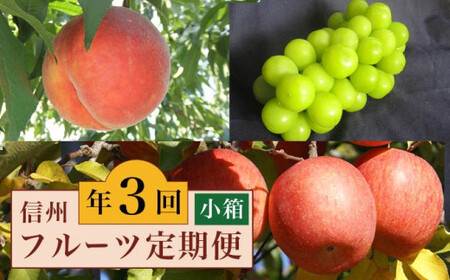 ［3回定期便］ 信州のフルーツ3回コース 小箱 ［小布施屋］ 定期便 先行予約 フルーツ 数量限定 白桃 シャインマスカット ぶどう りんご お楽しみ 3回お届け 長野県産 信州産 令和8年産 【2026年7月～12月発送】[A-309]