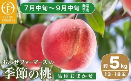 季節の桃 約5kg 13～18玉［ おぶせファーマーズ ］桃 もも モモ ピーチ フルーツ 果物 たまき なつき あかつき 川中島白鳳 なつっこ 川中島白桃 黄金桃 だて白桃 先行予約 長野県産 信州産 クール便 冷蔵便 お取り寄せ 産地直送 数量限定 産地 直送 令和8年産【2026年7月中旬～9月中旬発送】［F-63］