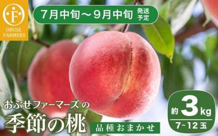 季節の桃 約3kg 7～12玉［ おぶせファーマーズ ］桃 もも モモ ピーチ フルーツ 果物 たまき なつき あかつき 川中島白鳳 なつっこ 川中島白桃 黄金桃 だて白桃 先行予約 長野県産 信州産 クール便 冷蔵便 お取り寄せ 産地直送 数量限定 産地 直送 令和8年産【2026年7月中旬～9月中旬発送】［F-62］