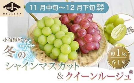 冬のシャインマスカット＆クイーンルージュ_ 約1kg 各1房 ［小布施屋］令和8年産 【2026年11月中旬～12月下旬発送】 ［A-302］