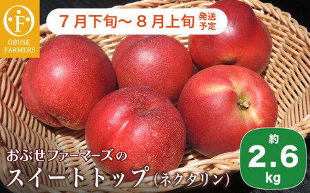 スイートトップ 約2.6kg ［おぶせファーマーズ］ ネクタリン 果物 フルーツ 桃 もも 冷蔵便 クール便  長野県産 信州産  令和8年産 【2026年7月下旬～8月上旬発送】［F-53］