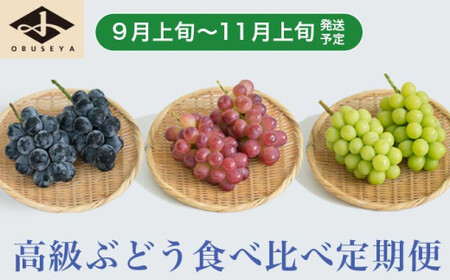 ［3回定期便］ 高級ぶどう食べ比べ定期便 約1kg × 3回 合計約3kg ［小布施屋］ フルーツ 果物 くだもの ぶどう 葡萄 ブドウ クール便 冷蔵 お楽しみ ナガノパープル クイーンルージュ_ シャインマスカット 令和8年産 【2026年9月上旬～11月上旬発送】［J-7］