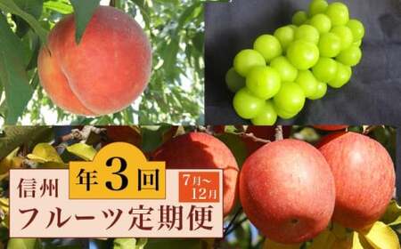 ［3回定期便］ 信州フルーツ3回コース ［小布施屋］ 定期便 先行予約 フルーツ 数量限定 白桃 シャインマスカット ぶどう りんご お楽しみ 3回お届け 長野県産 信州産 令和8年産 【2026年7月～12月発送】[M-2]