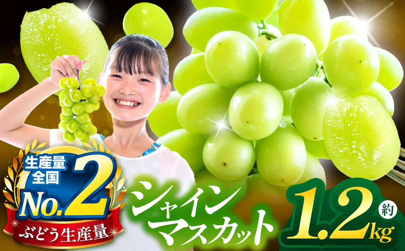 先行予約 シャインマスカット 約1.2kg ［JAながの］ 令和8年産 【2026年9月下旬より発送】［B-301］