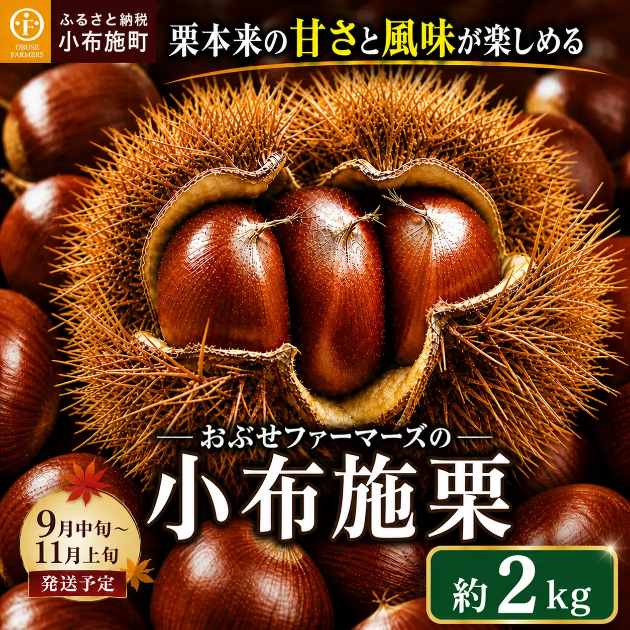  無くん蒸小布施栗 約2kg ［おぶせファーマーズ］ 令和8年産 【2026年9月中旬～11月上旬発送】 ［FB-23］