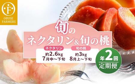 [2回定期便] 旬のネクタリン＆旬の桃 約2.6～3kg 食べ比べ 年2回定期便 2026年7月中旬～8月下旬発送［おぶせファーマーズ］ネクタリン 白桃 旬の桃　ルーツ 果物 冷蔵便 クール便 長野県産 信州産 小布施 令和8年産 [F-69]