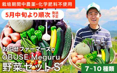  ［栽培期間中農薬・化学肥料不使用 ］OBUSE Meguru 野菜セット S 7～10種類 ［おぶせファーマーズ］野菜 詰め合わせ おまかせ やさい 詰合せ お楽しみ 長野県産 信州 令和8年産 【2026年5月中旬より順次発送】  [FY-1]