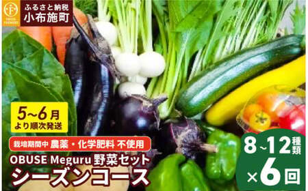 ［年6回定期便］ 農薬・化学肥料を使わずに栽培した野菜年6回定期便 OBUSE Meguru 野菜セット シーズンコース［おぶせファーマーズ］おまかせ 野菜 やさい 詰め合わせ 8～12種類 長野 信州 数量限定 産地直送 令和8年産 【2026年5～6月より順次発送】 