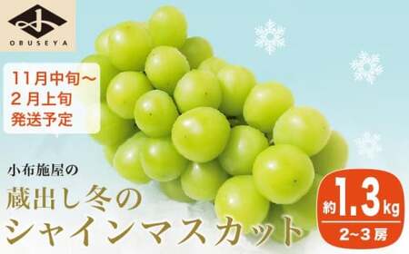蔵出し冬のシャインマスカット 約1.3kg 2～3房 ［小布施屋 ］令和8年産【2026年11月中旬～2027年2月発送】［B-503］