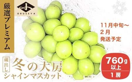 厳選プレミアム 大房 蔵出し冬のシャインマスカット 1房 760g以上［小布施屋］令和8年産  【2026年11月中旬～2027年2月発送】［A-505］