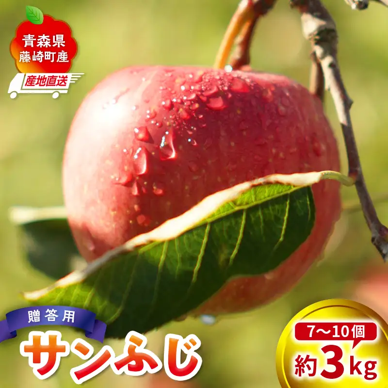＜産地直送＞ サンふじ 贈答用 約3kg（7～10個）りんご リンゴ 林檎 果物 フルーツ F41-0073