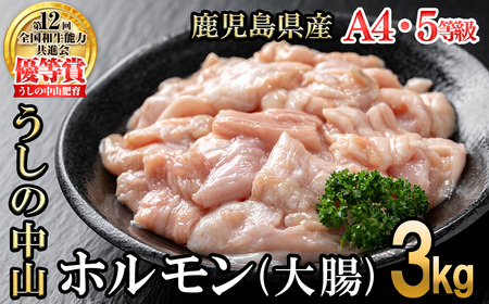 うしの中山 A4・A5等級黒毛和牛 ホルモン（大腸） 計3kg（500g×6袋）黒毛和牛 和牛 肉 牛肉 国産 九州産 鹿児島県産 ホルモン 焼肉 日本一 c0-135