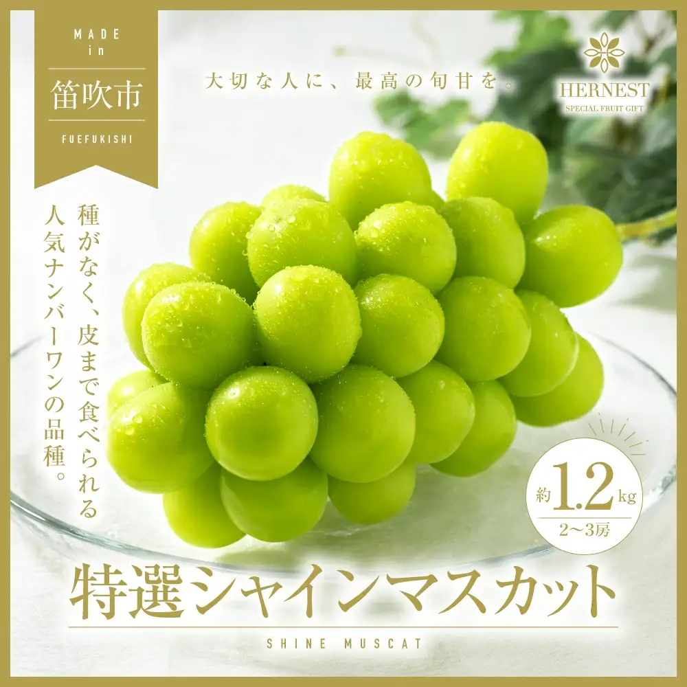 【2026年発送★先行予約】山梨県笛吹市 特選 旬の採れたてシャインマスカット 約1.2kg 2～3房 　105-001-26y