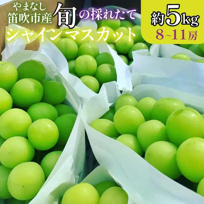 【2026年発送★先行予約】山梨県笛吹市産 旬の採れたてシャインマスカット 秀等品 約5kg 8～11房 105-026-26y