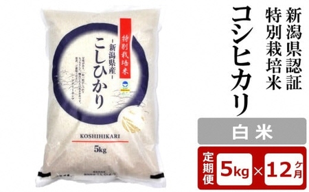 【12ヶ月定期便】新潟県認証特別栽培米 コシヒカリ 白米 5kg×12回（計 60kg）アグリーホンマ[Y0370]