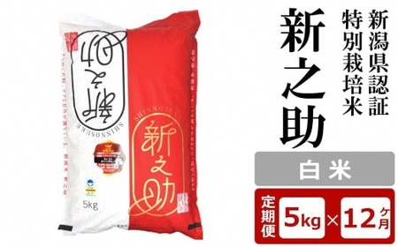【12ヶ月定期便】新潟県認証特別栽培米 新之助 白米 5kg×12回（計 60kg）アグリーホンマ[Y0374]
