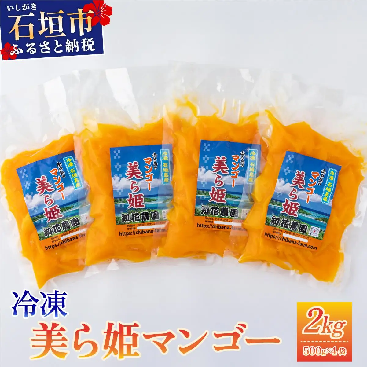冷凍美ら姫マンゴー 2kg（500g×4袋）CB-4