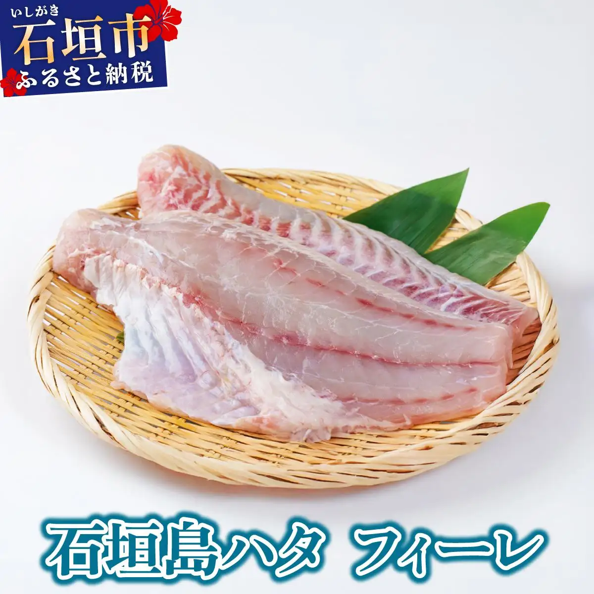 石垣島 ハタ フィーレ