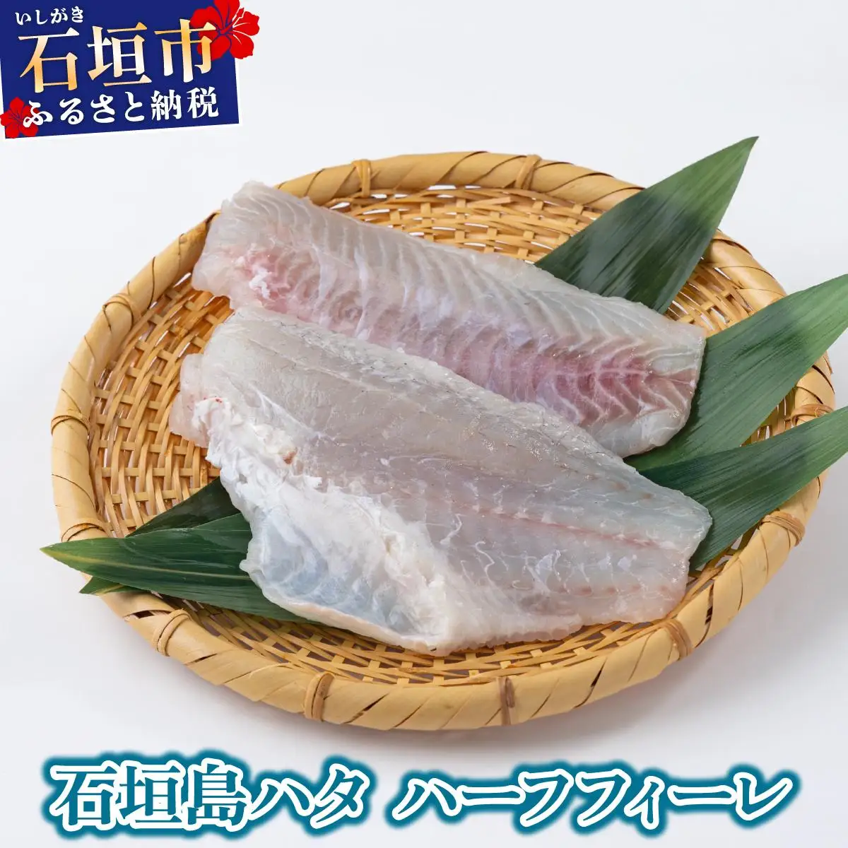 石垣島 ハタ ハーフフィーレ