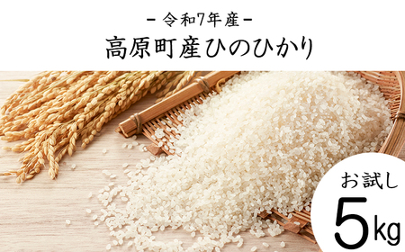 【令和7年産】宮崎県高原町産 ひのひかり白米 5kg TF00854-P00079
