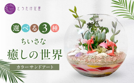 【選べる3種】カラーサンドデザイン(小さな癒しの世界)【とうたけ花屋】[IDB003]