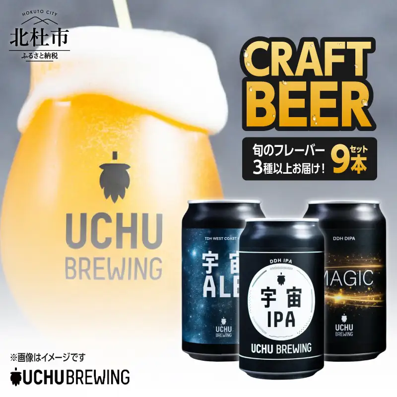 うちゅうブルーイング クラフトビール 9本 350ml うちゅうビール 飲み比べ　クラフトビール [h131]