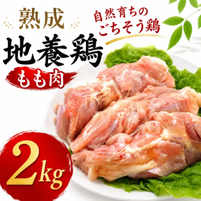 地養鳥 もも肉 2kg 国産 徳島県産 やわらか 鶏肉【 鶏肉 】