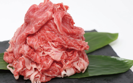 【黒毛和牛】 能登牛 しゃぶしゃぶにも 600g 切落し 牛しゃぶ