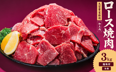 【焼肉】 牛肉 ロース 焼肉 3kg タンブリング加工 【NGB011】