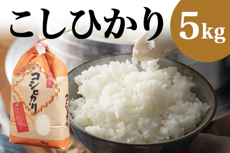 令和7年産 郡上産こしひかり 5kg