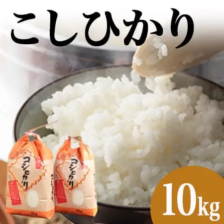 令和7年産 郡上産こしひかり 10kg