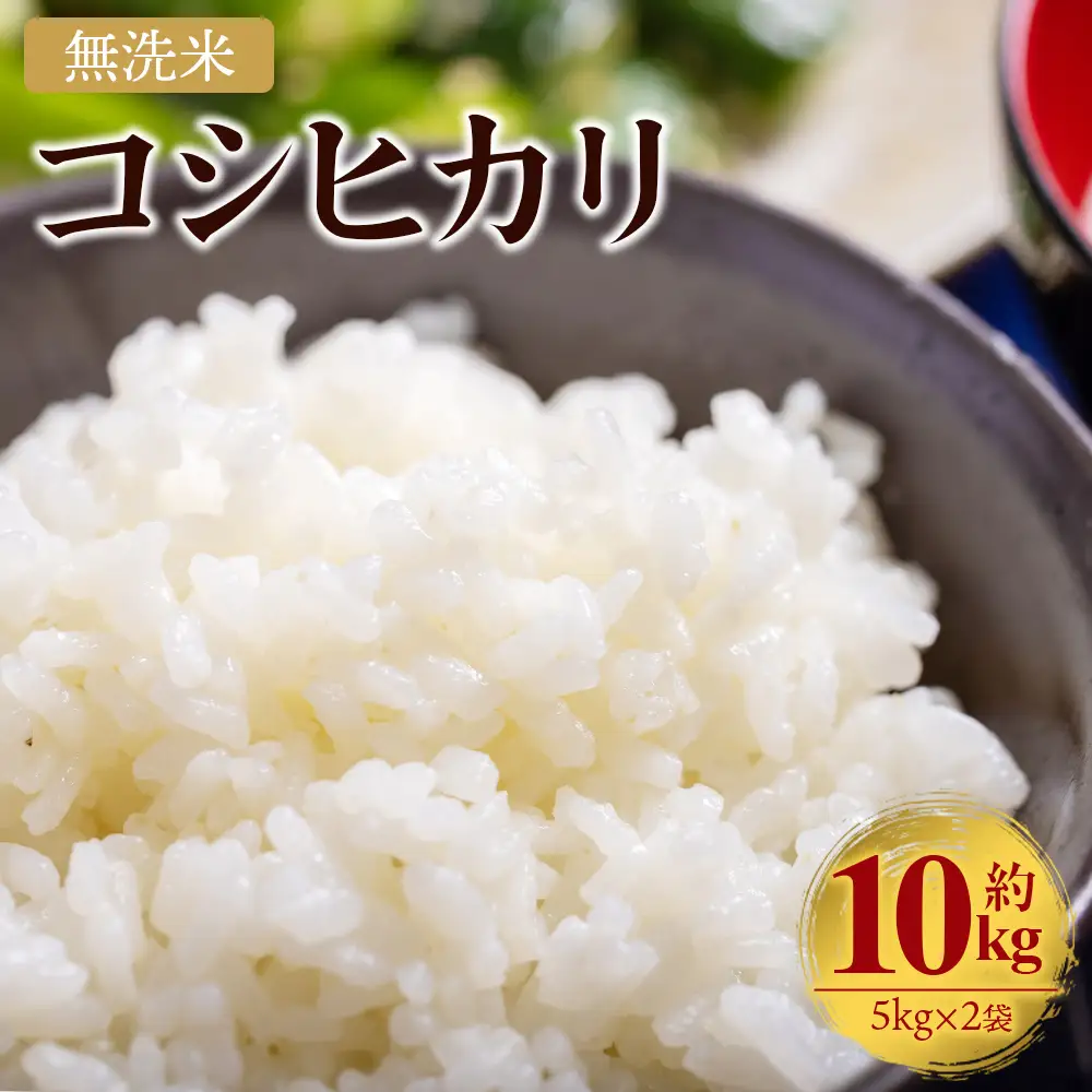 無洗米 令和7年産 コシヒカリ 無洗 cs-0002