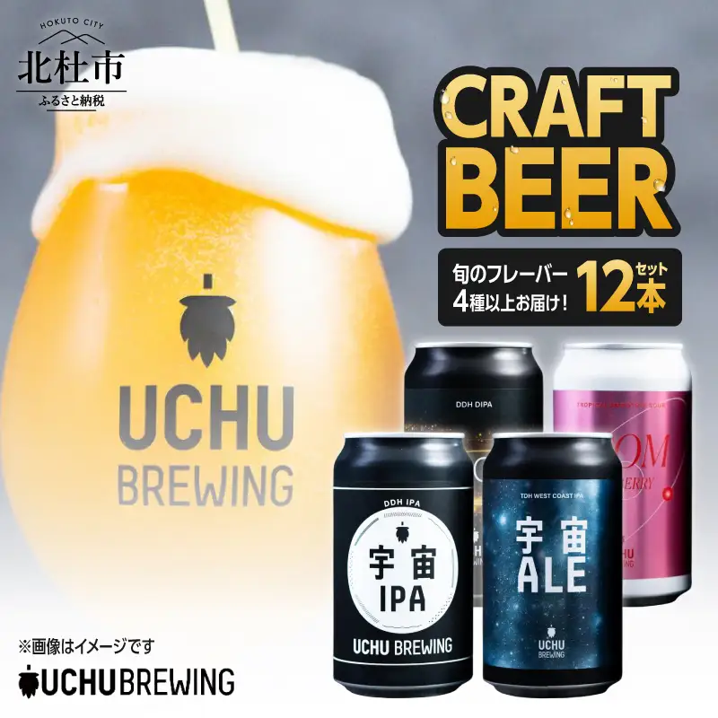 うちゅうブルーイング クラフトビール 12本セット クラフトビール 飲み比べ [h131]