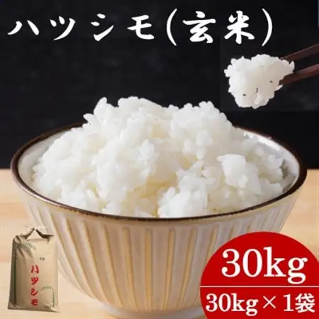 令和7年産　岐阜県産ハツシモ(玄米) 30kg  国産 米【1673355】