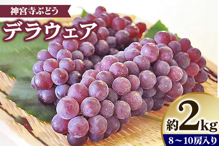 [先行予約] 神宮寺ぶどう (デラウエア) 2kg [0220]