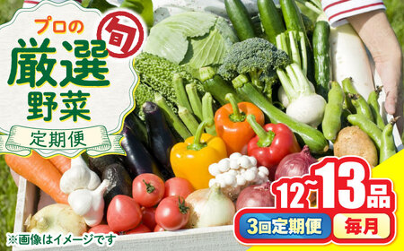 【3回定期便】野菜のプロが選ぶ 旬の野菜セット 12-13品目 野菜定期便 / 野菜 やさい セット 新鮮 / 南島原市 / 愛2農園[SGG004]