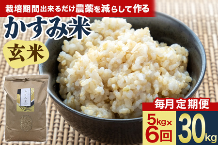 【毎月定期便】心と身体が踊りだす栽培期間中出来るだけ農薬を減らして作る「かすみ米」玄米 5kg 全6回 お米 米 国産米 茨城県 潮来市 (A03-055)