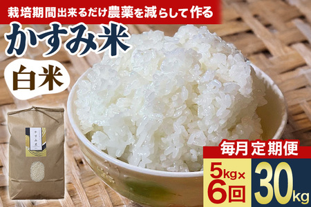 【毎月定期便】心と身体が踊りだす栽培期間中出来るだけ農薬を減らして作る「かすみ米」白米 5kg 全6回 お米 米 国産米 茨城県 潮来市 (A03-047)