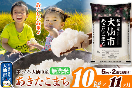 米《定期便11ヶ月》あきたこまち【無洗米】米どころ秋田県大仙市産 あきたこまち 10kg（5kg×2袋）