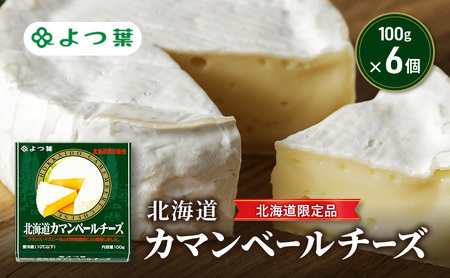 よつ葉 「北海道カマンベールチーズ [北海道限定品]」100g×6【 よつ葉 北海道カマンベールチーズ 販売店 新千歳空港 札幌駅 お土産 通販 お取り寄せ 違い 口コミ パッケージ 北海道限定 食べ方 レシピ アレンジ ワイン おつまみ 北海道 十勝 幕別 】