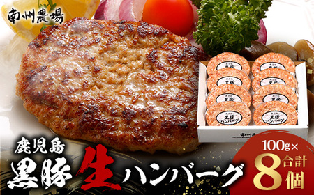 鹿児島県産 黒豚生ハンバーグセット（8個入）冷凍 NS-12 ❘ 肉 お肉 豚肉 豚 にく ぶた かごしま黒豚 焼くだけ おかず お弁当 ジューシー 小分け ギフト おかず お弁当 国産 鹿児島県 南大隅町 南州農場