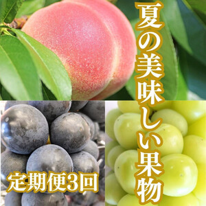 【2026年度先行予約】【定期便3回】夏の美味しい果物