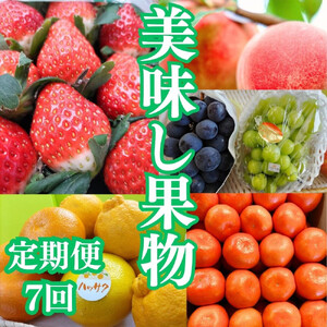 【定期便全7回】美味しい果物定期便　