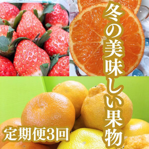 【定期便全３回】冬の美味しい果物