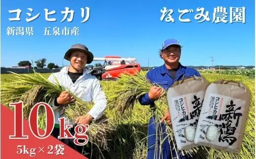 令和7年産米 なごみ農園のコシヒカリ 精米 10kg (5kg×2袋)