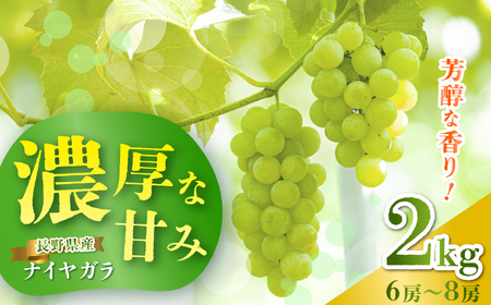 【2026年 先行予約】信州塩尻産 こくうま ナイヤガラ 2kg （6房～8房 生食用）