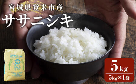 ≪令和7年産≫ 登米市産 ササニシキ 5kg (5kg×1袋) お米 おこめ 米 コメ 白米 ご飯 ごはん おにぎり お弁当【有限会社PFTサービス】tm477